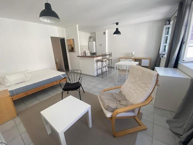 Location Appartement 1 pièce 38.6 m2 Lyon 2ème