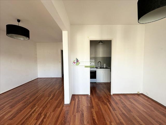 Location Appartement 1 pièce 38m²