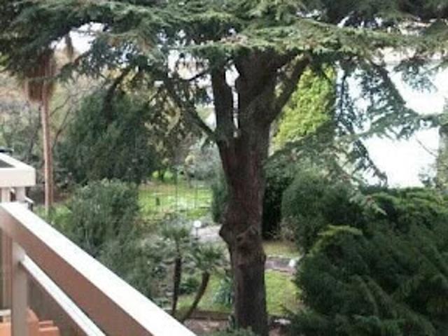 Location Appartement 1 pièce 39 m2 Nice