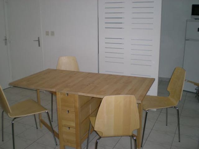 Location Appartement 1 pièce 30 m2 Lyon 3ème