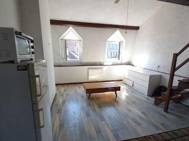 Location Appartement 1 pièce 30 m2 Lille