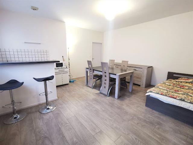Location Appartement 1 pièce 30 m2 Strasbourg
