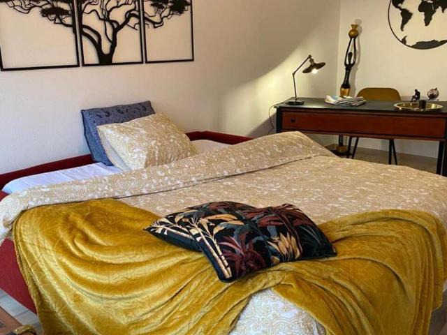 Location appartement 1 pièce 30 m² Annemasse 74100