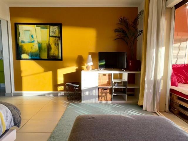 Location Appartement 1 pièce 30m²