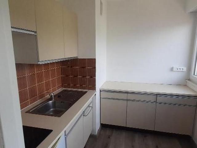Location Appartement 1 pièce 30m² STRASBOURG 67100