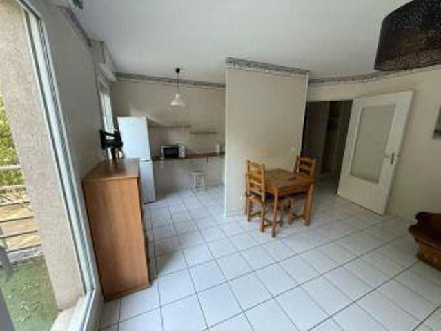 Location Appartement 1 pièce 31 m2 Villeurbanne