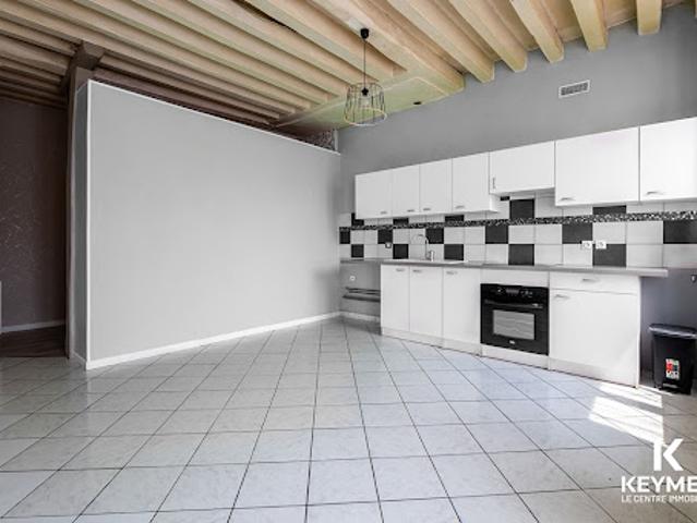 Location Appartement 1 pièce 31.3 m2 Le Mesnil en Thelle