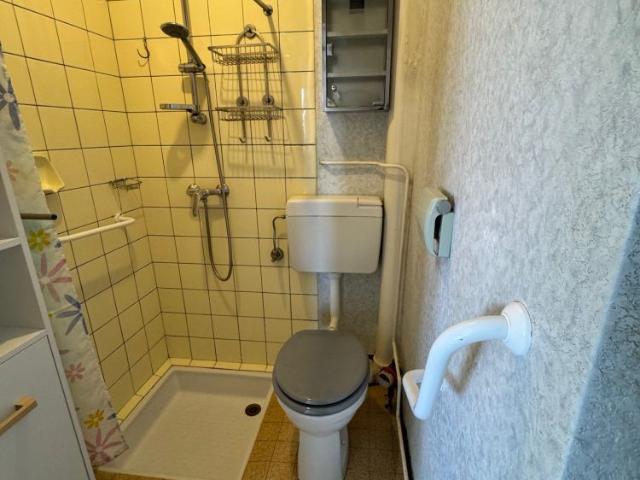 Location Appartement 1 pièce 31m² COLMAR 68000