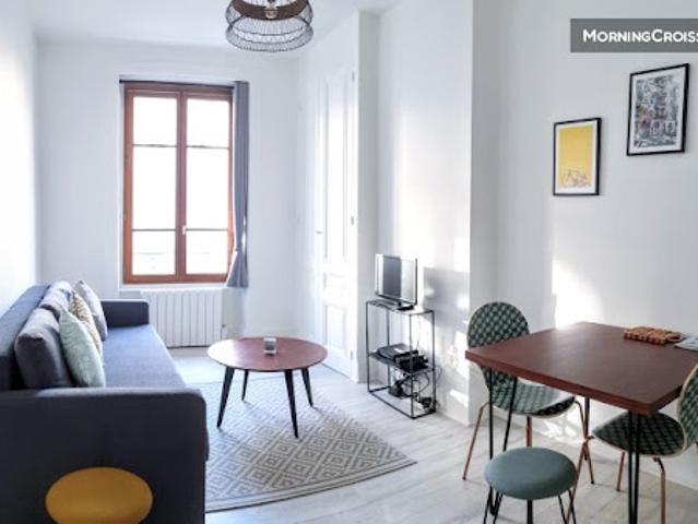Location Appartement 1 pièce 33 m2 Lyon 7ème