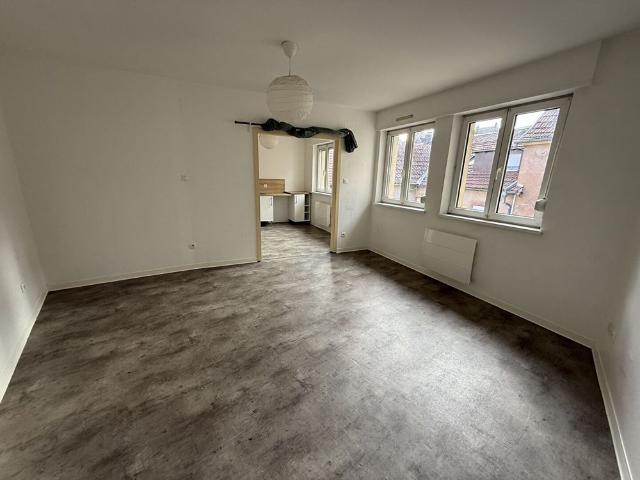 Location Appartement 1 pièce 33m² HAGUENAU 67500