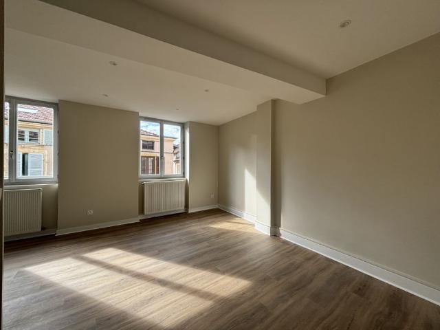 Location Appartement 1 pièce 46m² CHARLIEU 42190