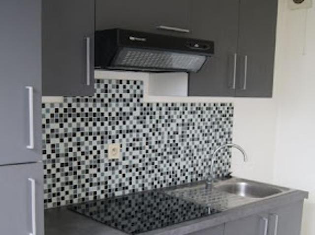 Location Appartement 1 pièce 49.42 m2 Lyon 8ème