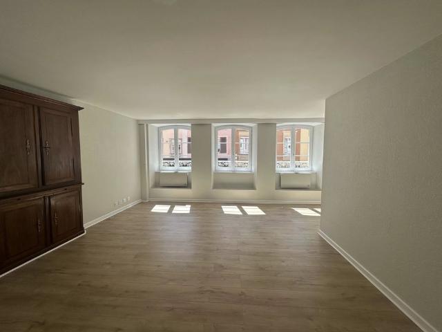Location Appartement 1 pièce 49m² ALTKIRCH 68130