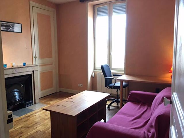 Location Appartement 1 pièce 41.47 m2 Villeurbanne