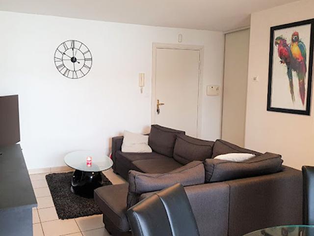 Location Appartement 1 pièce 42 m2 Tournefeuille