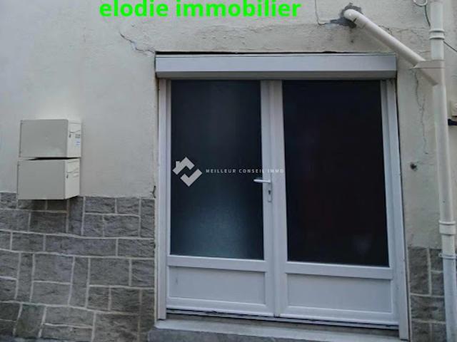 Location Appartement 1 pièce 43 m2 Brioude