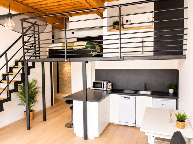Location Appartement 1 pièce 43m² LYON 4ème