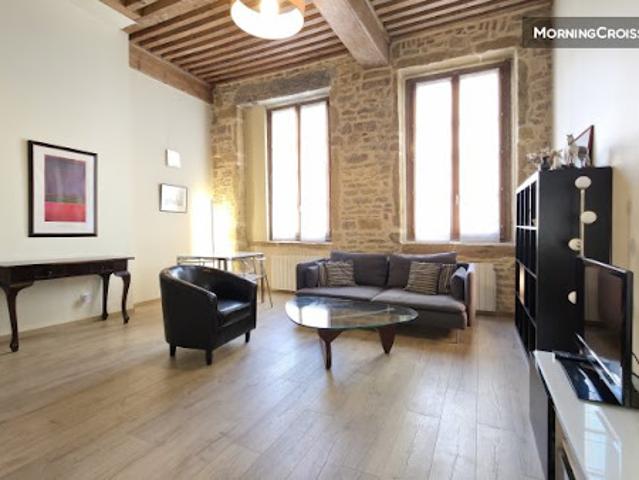 Location Appartement 1 pièce 60 m2 Lyon 2ème