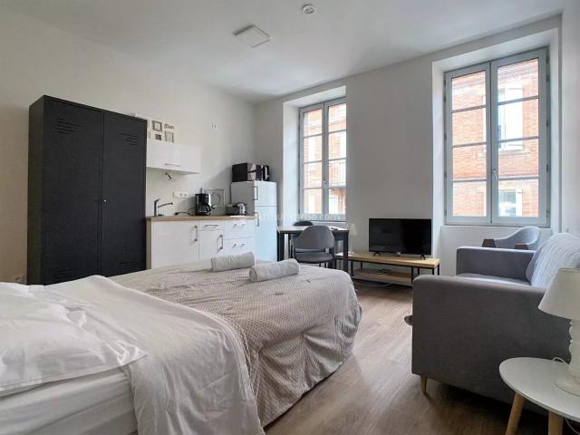 Location Appartement 1 pièces 21 m2 à Albi