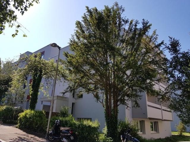 Location Appartement 1.5 pièces CHF 1'148. /mois 38 m2 | immobilier.ch