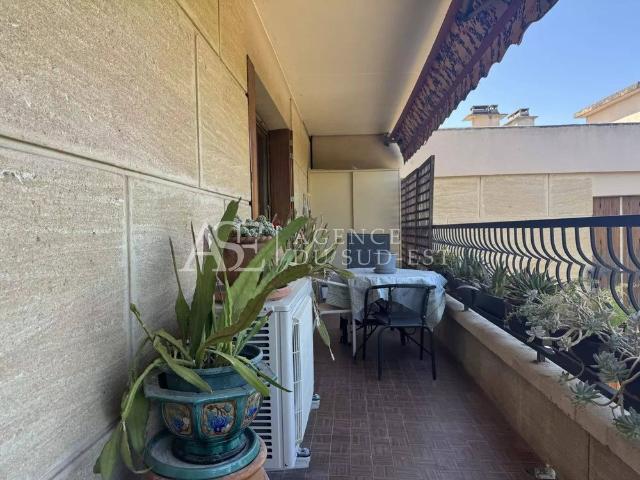 Location Appartement