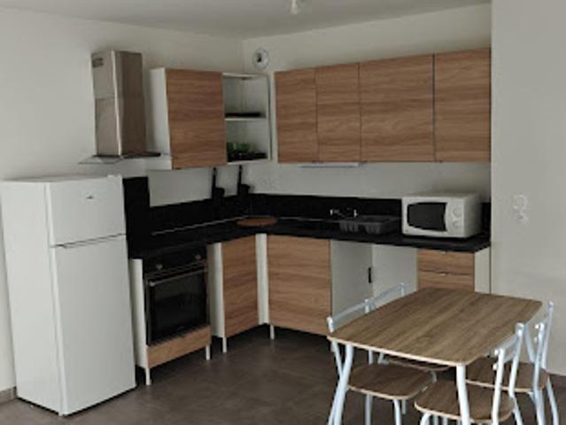 Location Appartement 2 pièces 43 m2 Villeurbanne
