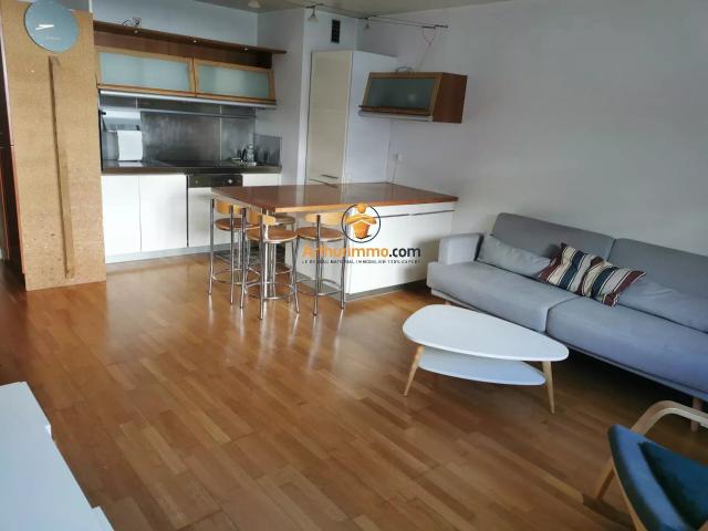 Location Appartement 2 pièces 43 m2 à Pau