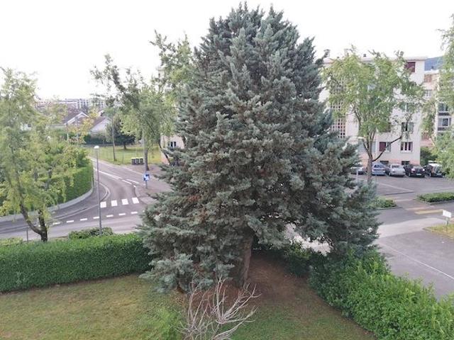 Location Appartement 2 pièces 43m²