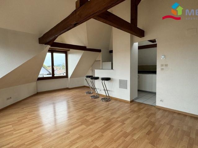 Location Appartement 2 pièces 43m² HOLTZHEIM 67810