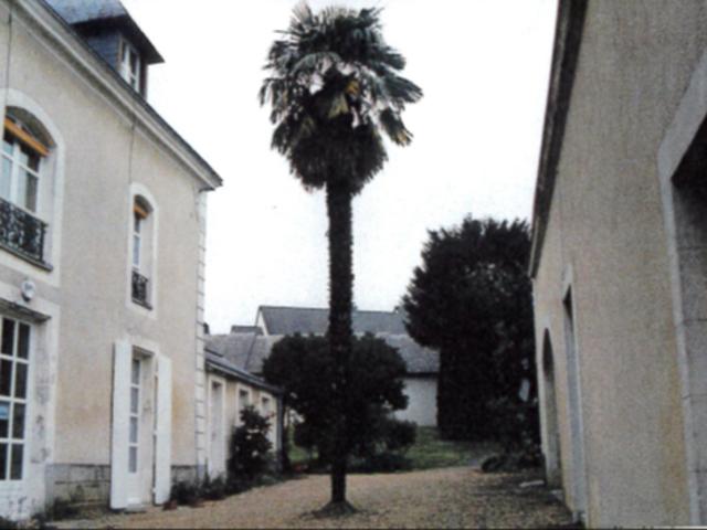 Location Appartement 2 pièces 43m² SABLE SUR SARTHE 72300