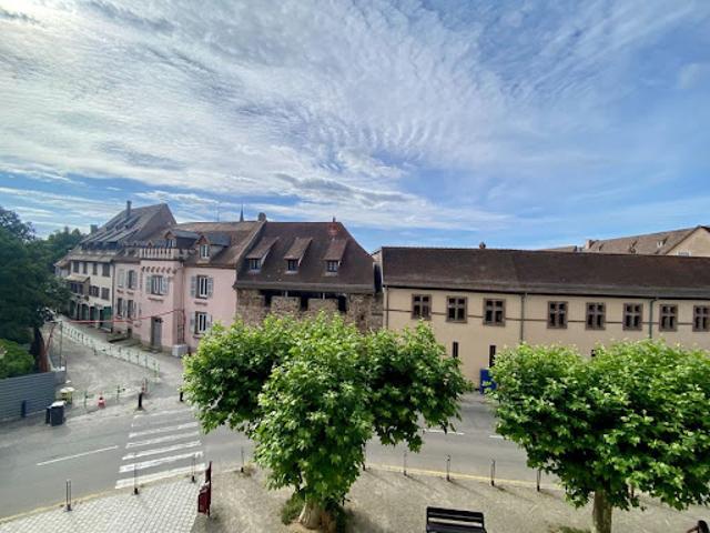 Location Appartement 2 pièces 40 m2 Obernai