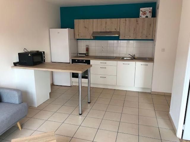 Location Appartement 2 pièces 41 m2 Villeurbanne