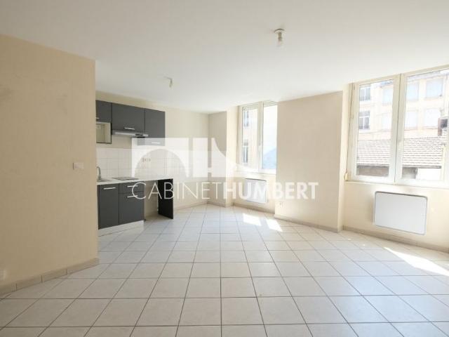Location Appartement 2 pièces 41m² ST ETIENNE 42000