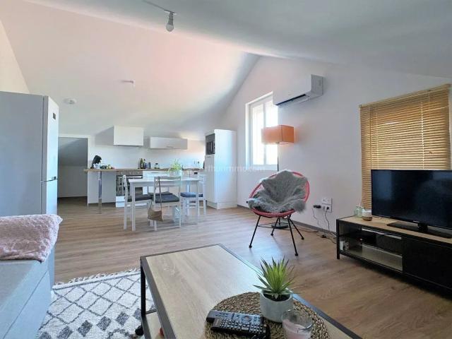 Location Appartement 2 pièces 42 m2 à Albi
