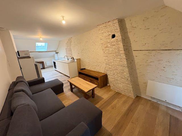 Location Appartement 2 pièces 47.19 m2 Le Controis en Sologne
