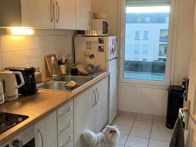 Location Appartement 2 pièces 47m² ROUEN 76100