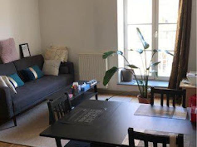 Location Appartement 2 pièces 45 m2 Lyon 1er