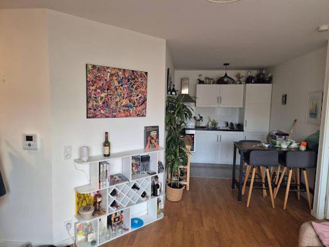 Location Appartement 2 pièces 45 m2 Nogent sur Marne