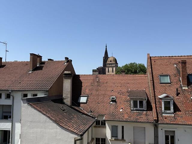 Location Appartement 2 pièces 46m² STRASBOURG 67000