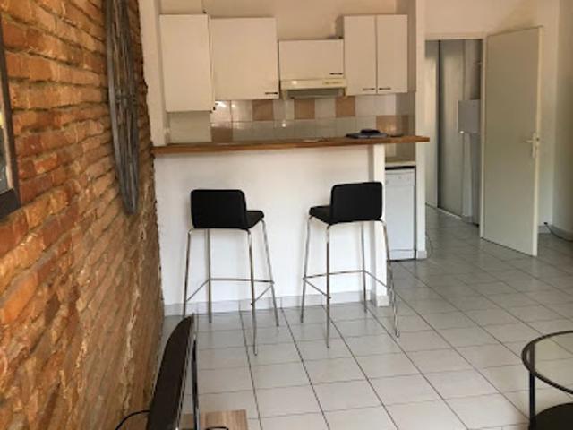 Location Appartement 2 pièces 48 m2 Toulouse