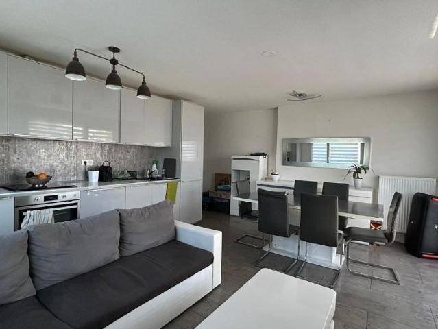 Location Appartement 2 pièces 48m² KINGERSHEIM 68260