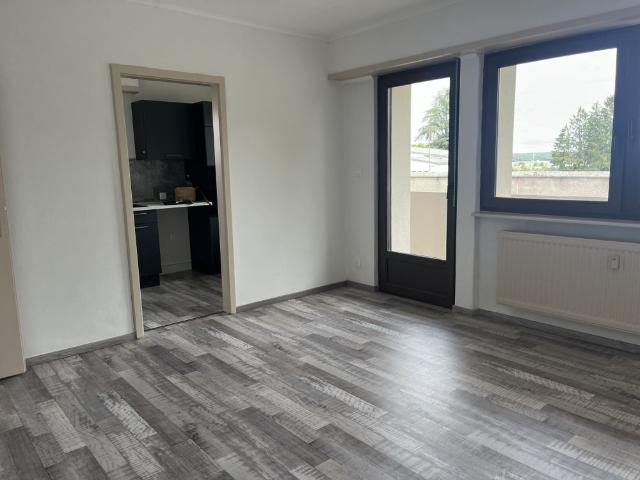 Location Appartement 2 pièces 48m² SARREBOURG 57400