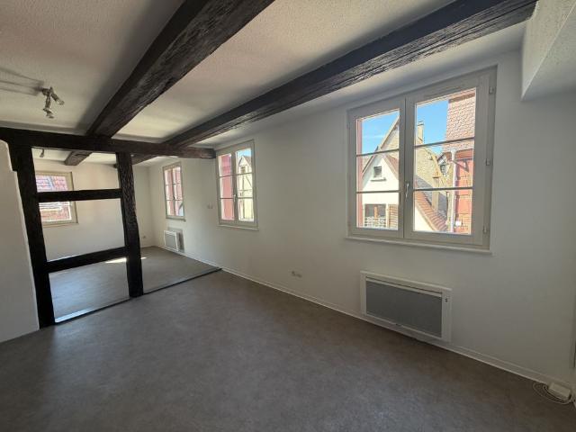 Location Appartement 2 pièces 48m² SELESTAT 67600