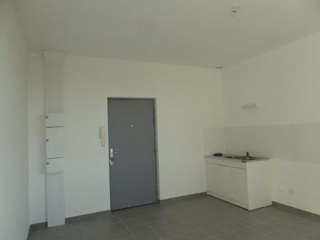 Location Appartement 2 pièces 50 m2 Lyon 8ème