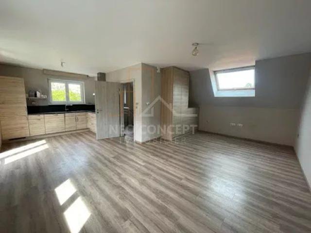 Location Appartement 2 pièces 50 m2 Soufflenheim