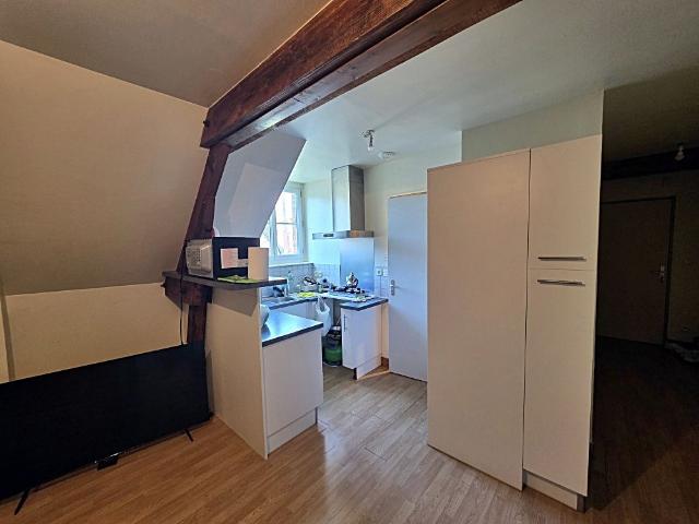 Location Appartement 2 pièces 51m² SULLY SUR LOIRE 45600