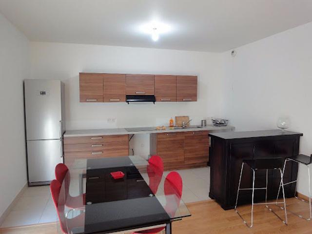 Location Appartement 2 pièces 57.5 m2 Lyon 2ème
