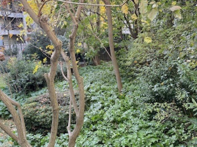 Location Appartement 2 pièces 57 m2 Paris 16ème