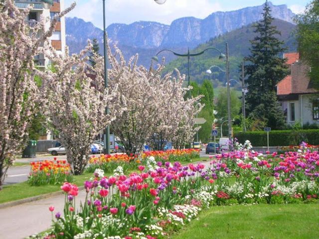 Location Appartement 2 pièces 56 m2 Annecy