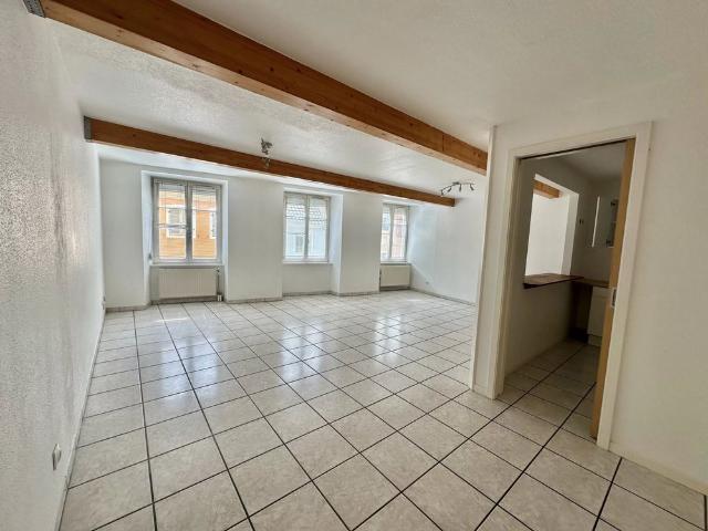 Location Appartement 2 pièces 63m² ALTKIRCH 68130